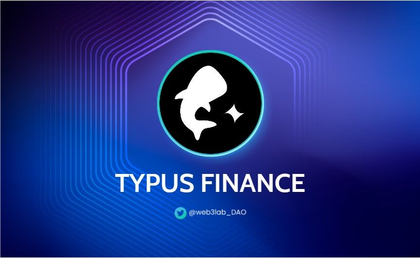 Typus Finance? - A Comprehensive Overview of the DeFi Protocol's Solutions for Liquidity Issues on-chain.